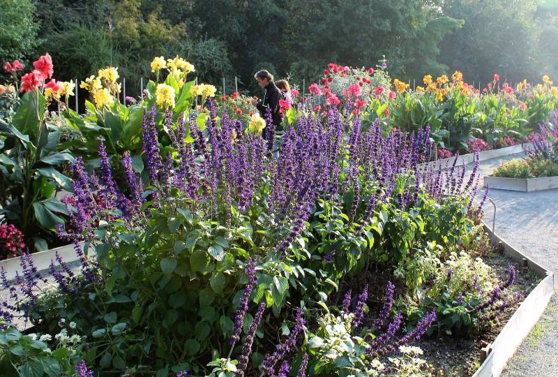 Chasseur immo Lyon 6 parc 